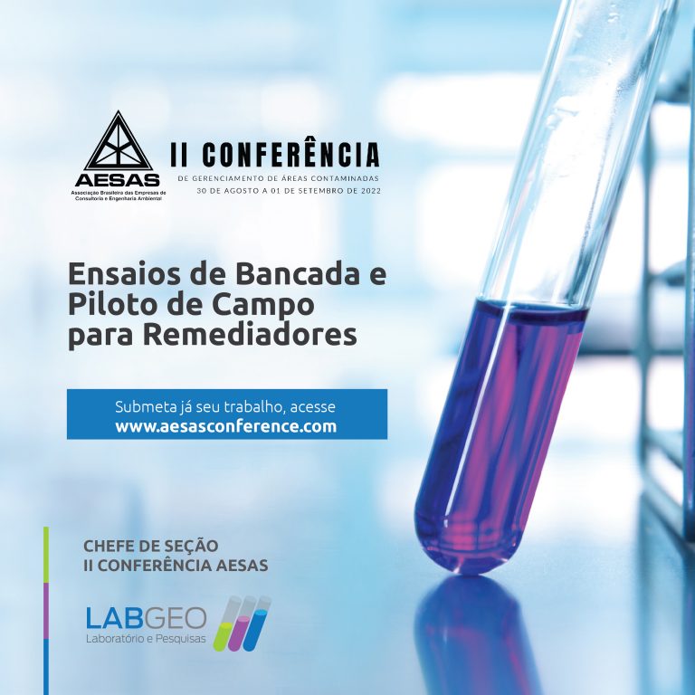 LABGEO, chefe de Seção da II Conferência AESAS